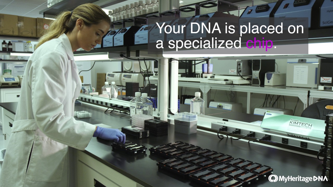 MyHeritage DNA Journey: Inside the Lab Process
