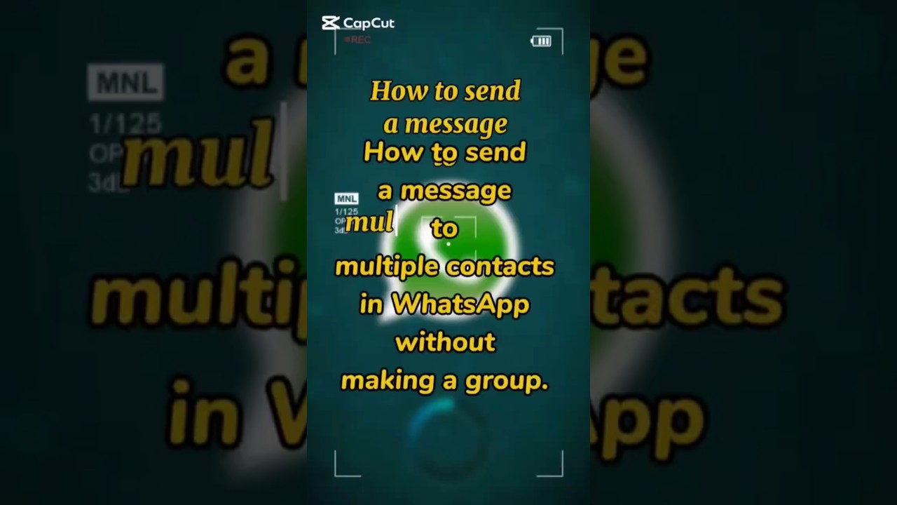 Send WhatsApp Message to All Contacts 📱