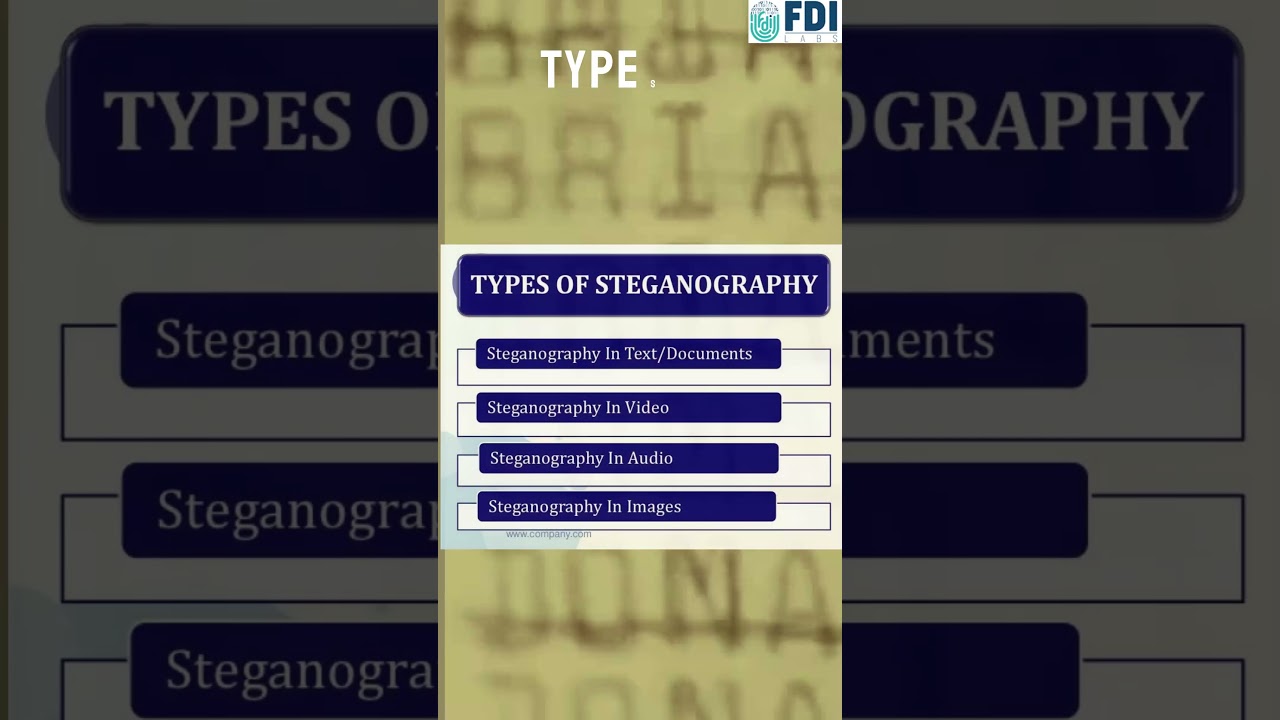 Decode Hidden Messages: The Secrets of Steganography Revealed π