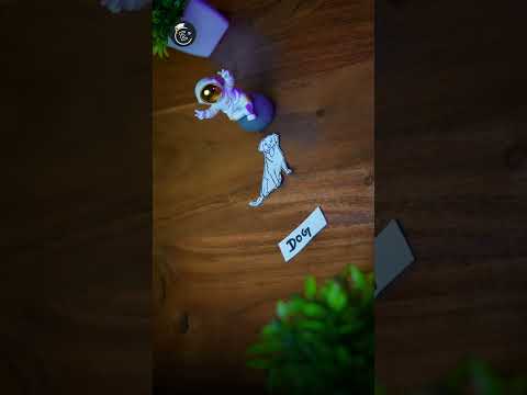 Machine Learning in 60seconds #machinelearning #shorts