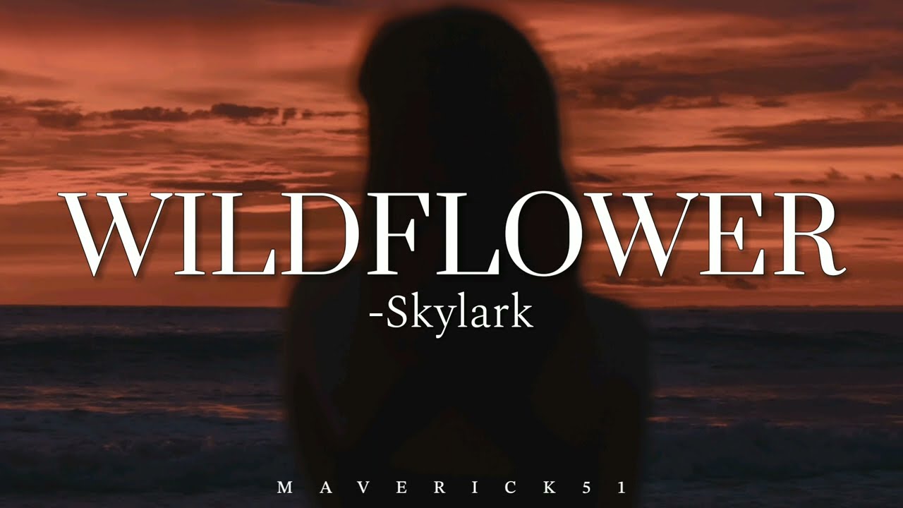 Skylark - Wildflower Lyrics (HQ) 🌸