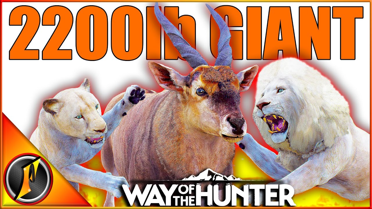 Epic Hunt for New Eland & Rare Lion 🦁