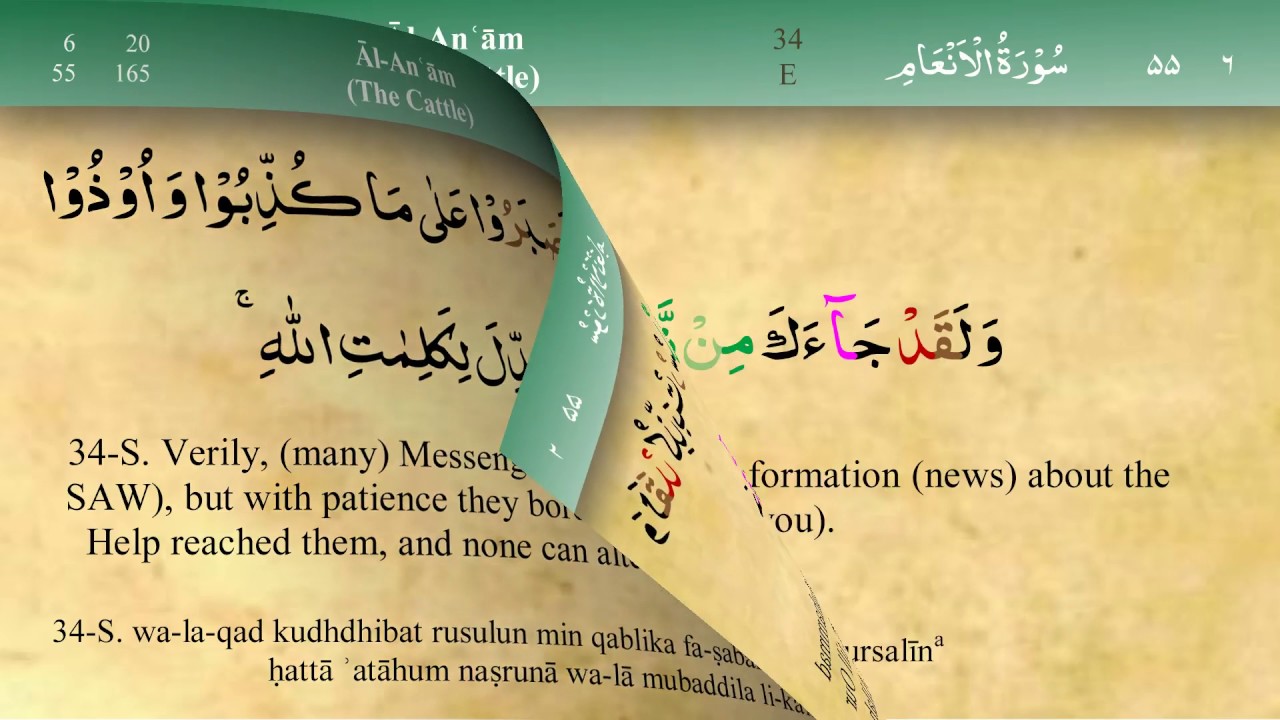 006 Surah Al Anam with Tajweed by Mishary Al Afasy