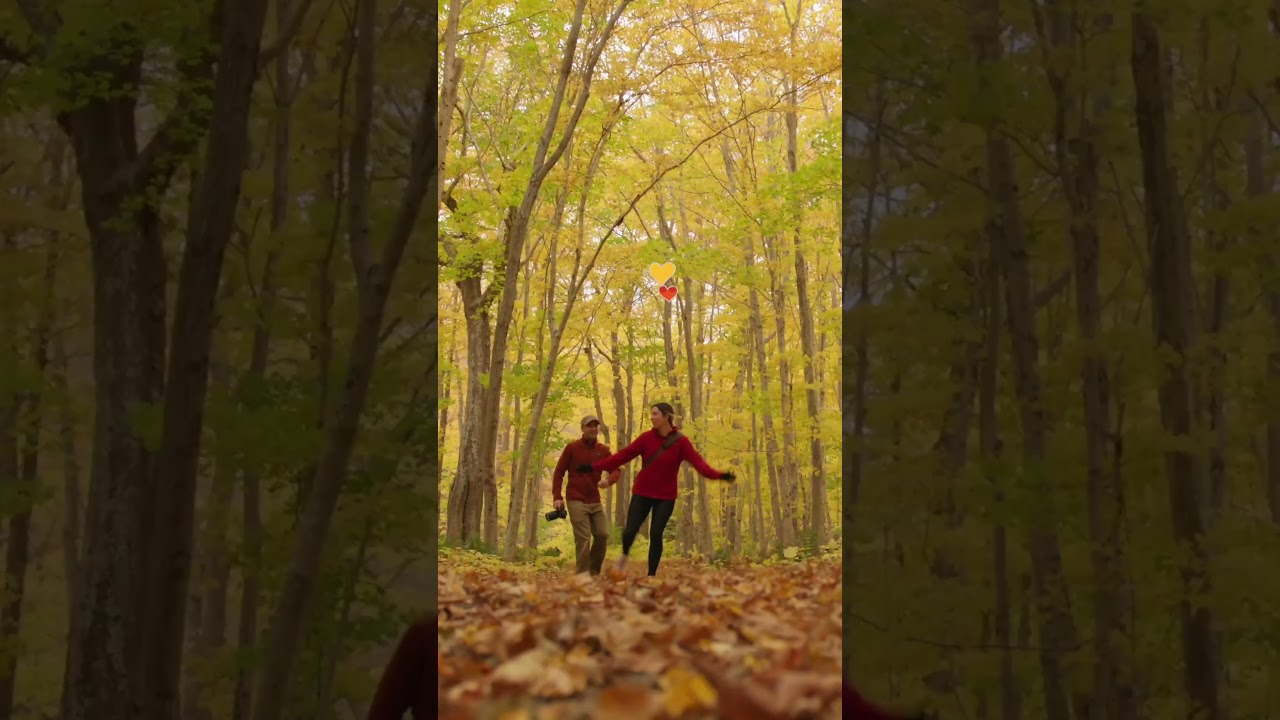 Fall in Love with Cape Breton's Vibrant Colors π