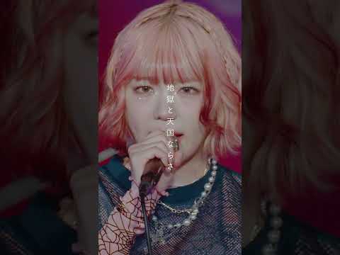 「LOVESONG」#qis #クイス #北澤ゆうほ #shorts