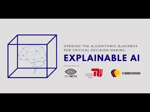 Q&A @ Explainable AI - Opening the Algorithmic Blackbox