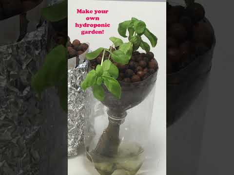 10 Awesome Biology Science Projects