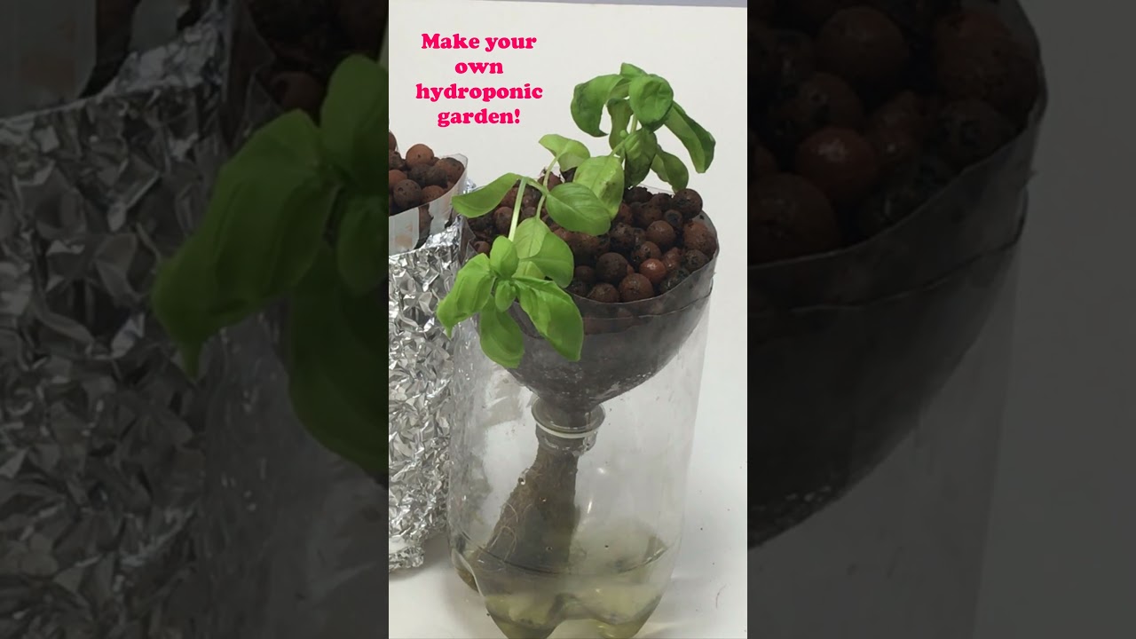 10 Exciting Biology Science Projects with Materials and Instructions