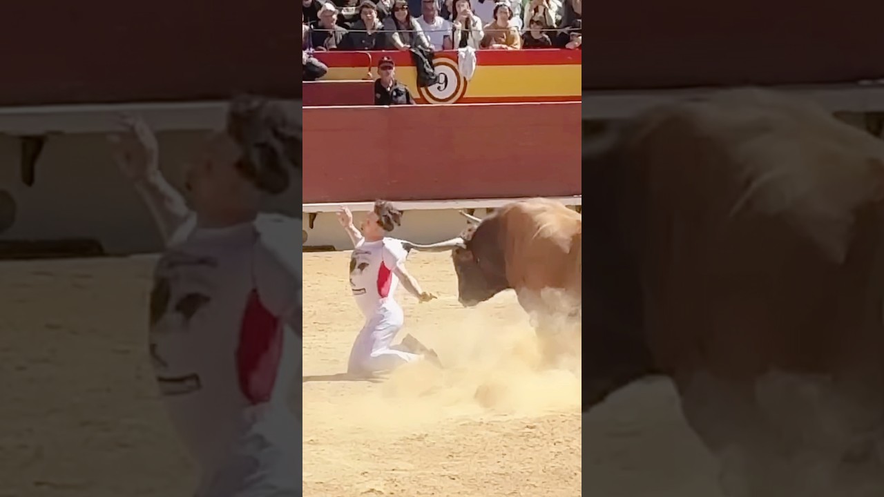 Dany Alonso, Campeón de España de Recortes 🏆