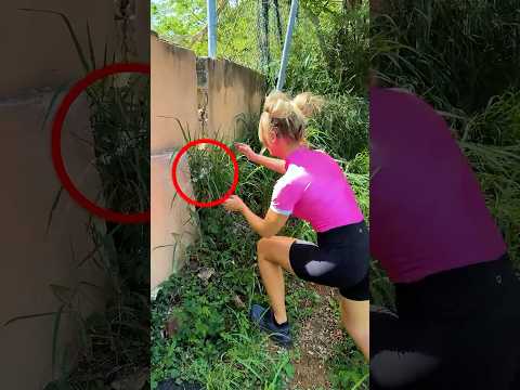 I Found an Abandoned Kitten in a Graveyard!