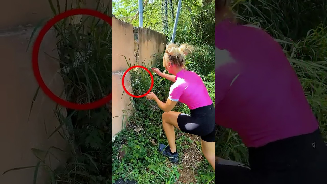 Rescued an Abandoned Kitten from a Graveyard π±