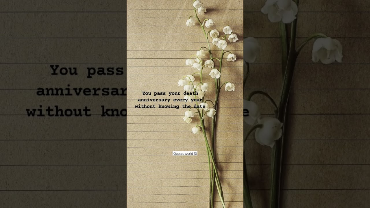 Remembering a Life Lost 💔