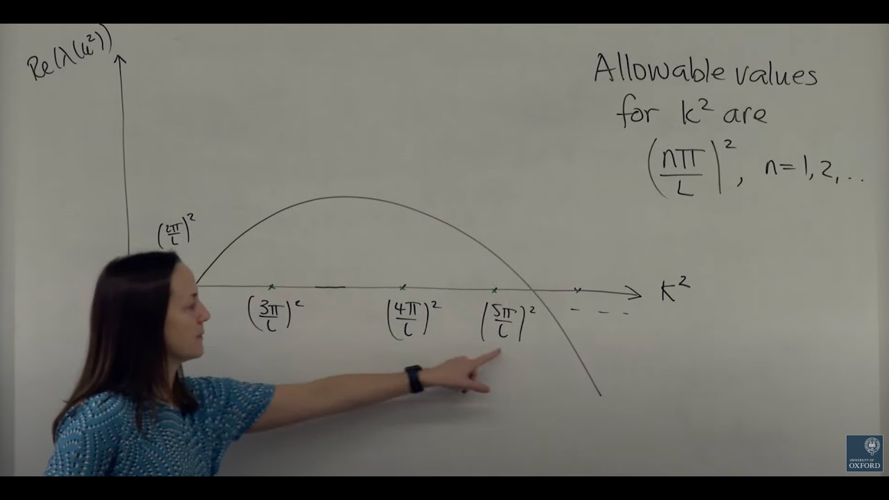 Discover How Reaction-Diffusion Models Explain Biological Patterns 🧬 | Oxford Mathematics Lecture 3