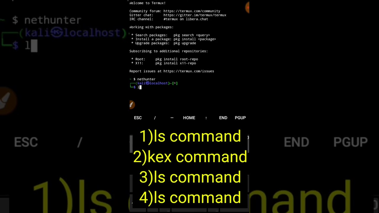 Fix NetHunter Kex Connection Errors on Kali Linux 🔧