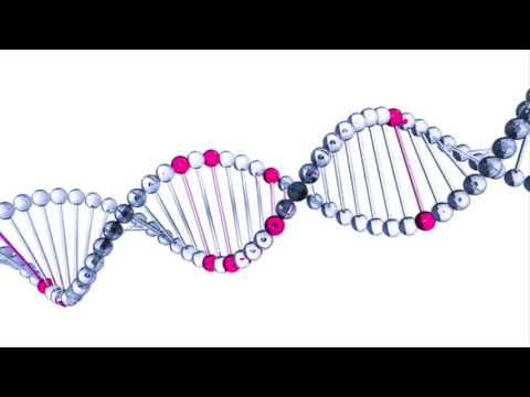 AI Neuro Evolution Demo and Tutorial for Beginners