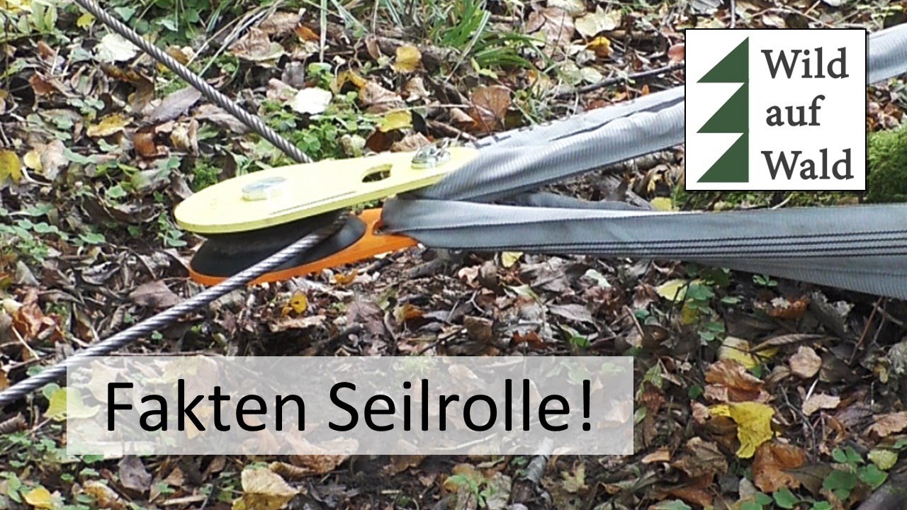 Umlenkrolle Seilwinde: Tipps & Rabatt für sichere Holzfällung 🌲