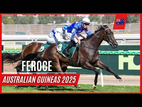 FEROCE ridden by Billy Egan winning the G1 Australian Guineas!