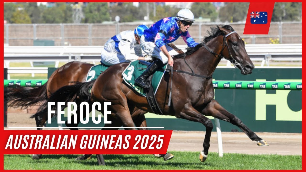 Feroce and Billy Egan Dominate in G1 Australian Guineas 🏆