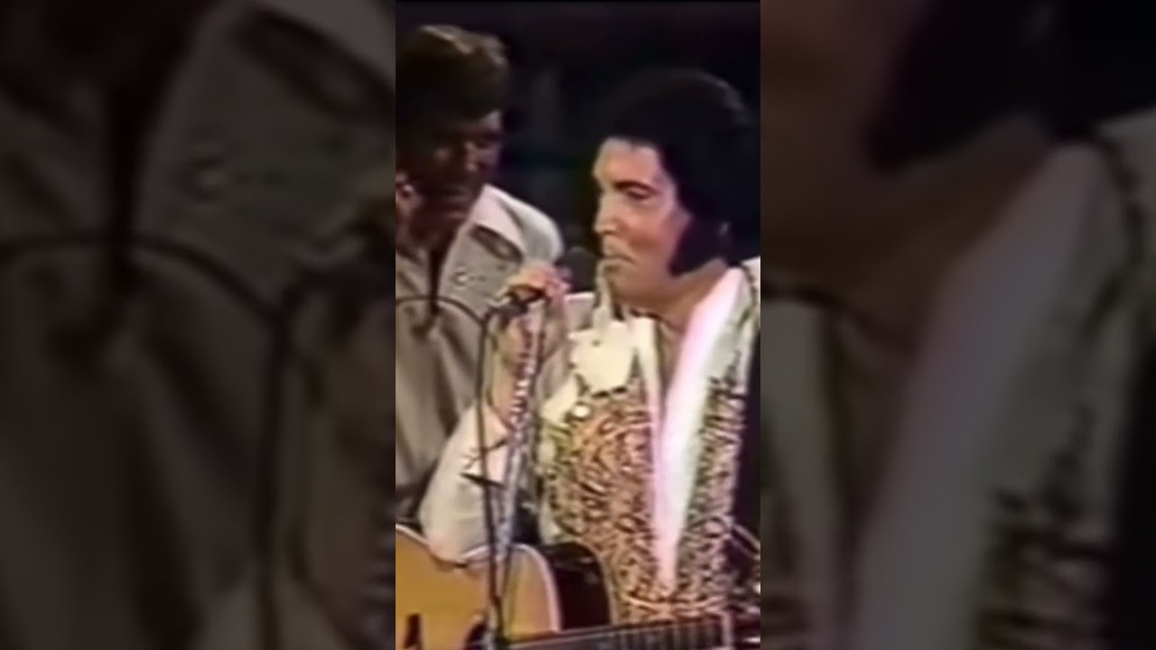 Elvis's Cool 'Turn Around' Moment 🎶