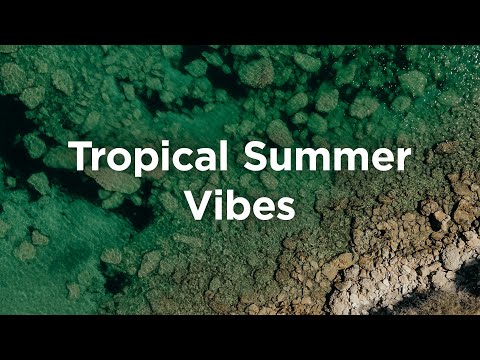 Tropical Vibes 🌴 Summer Mix | Chill House