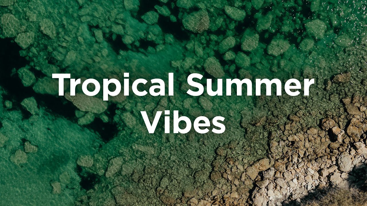Tropical Vibes Summer Chill House Mix π΄ | Relax & Unwind