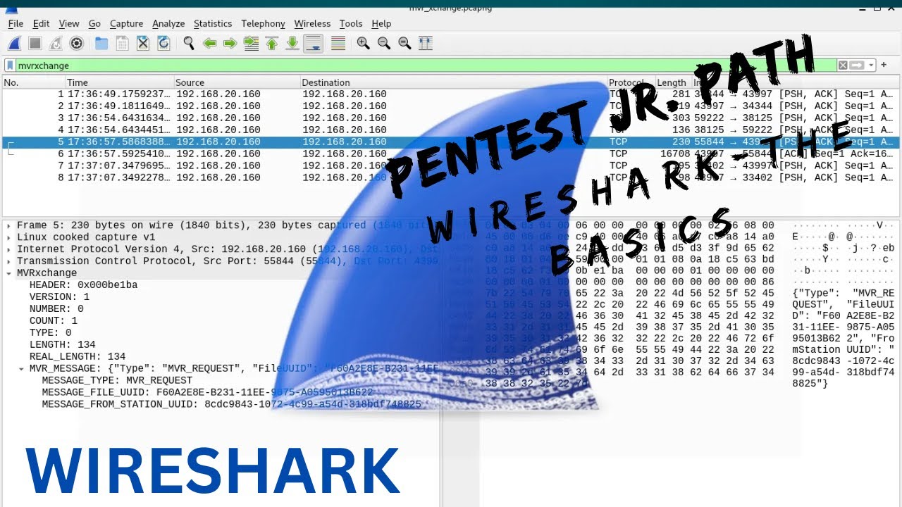 Wireshark Basics Tutorial | TryHackMe Walkthrough