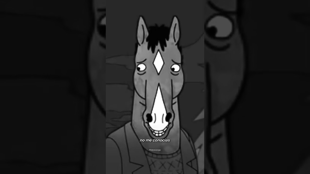 Bojack: De Desconocido a Amor ❤️