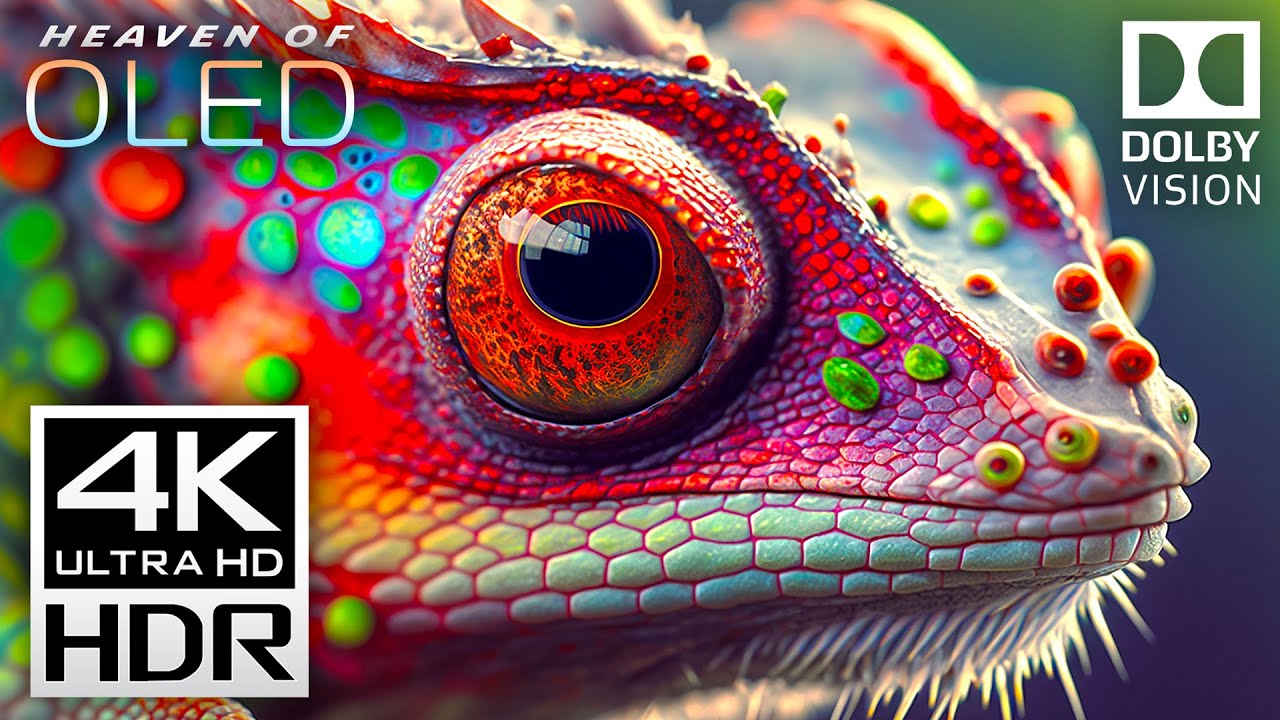 Experience Ultimate Relaxation with 4K Dolby Vision & HDR Videos 🎶