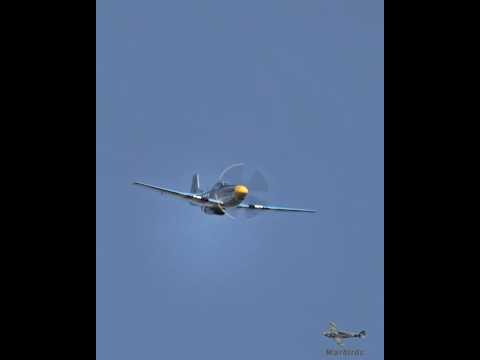 P-51 Mustang V12 Sound #Mustang #aircraft #warbirds #p51mustang #avgeek