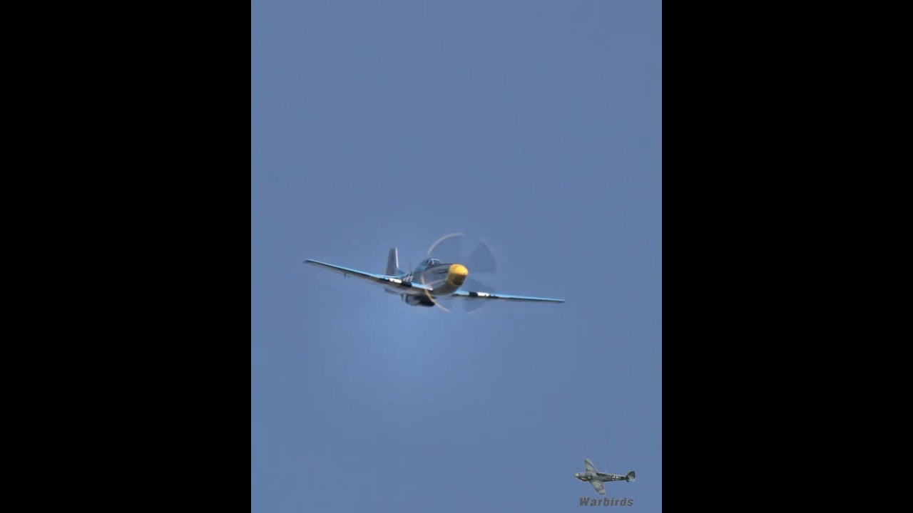 Epic P-51 Mustang V12 Roar at Airshow Degerfeld 2024 ✈️
