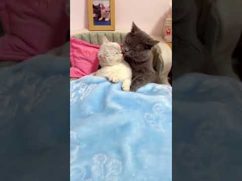 #романтическаямузыка