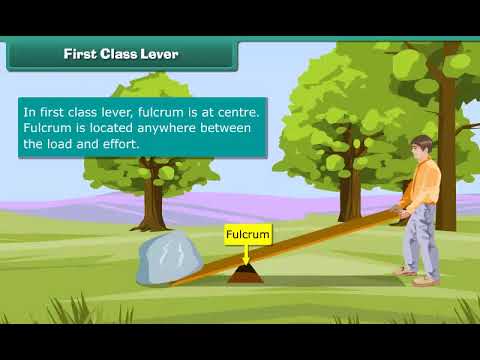 Understanding First Class Levers 🔧
