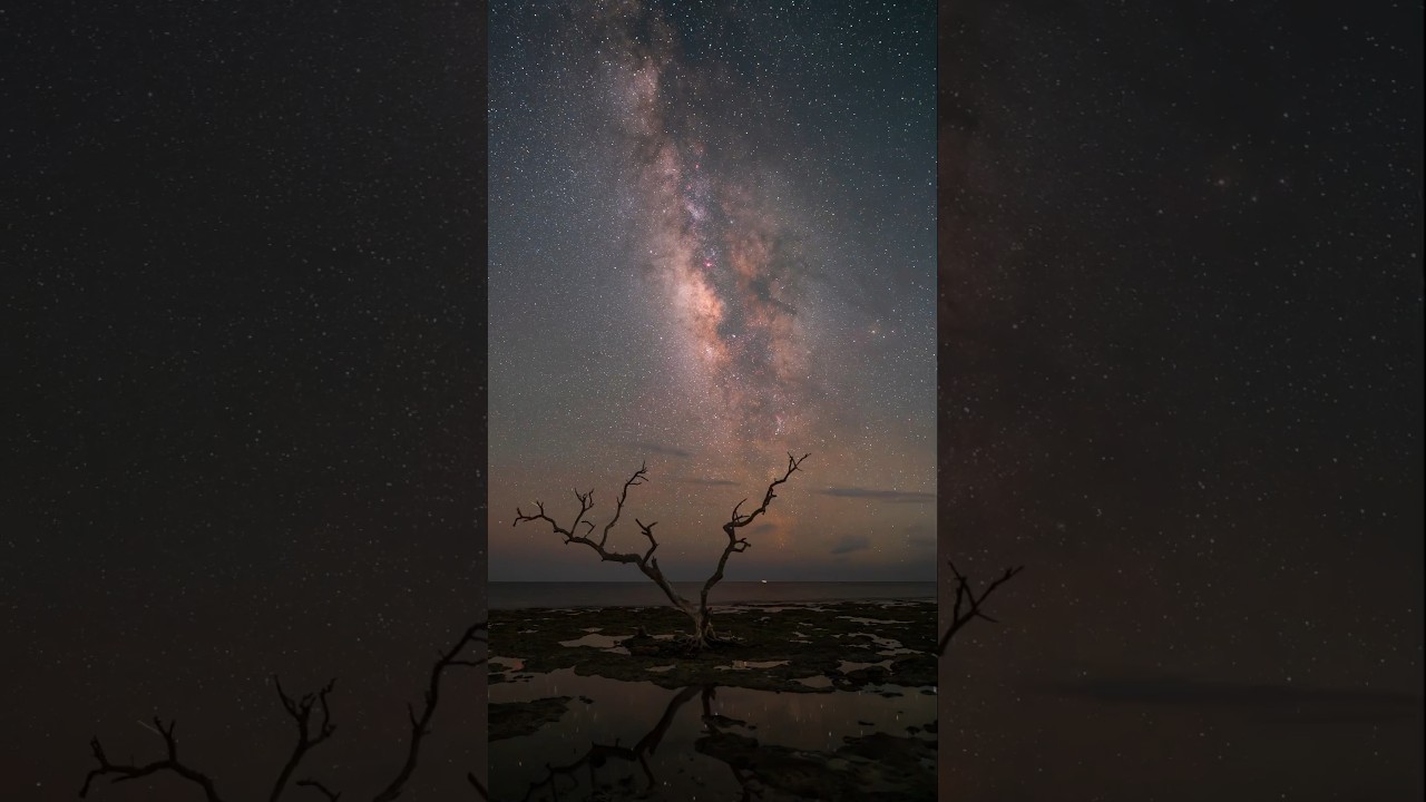 The Milky Way Galaxy π