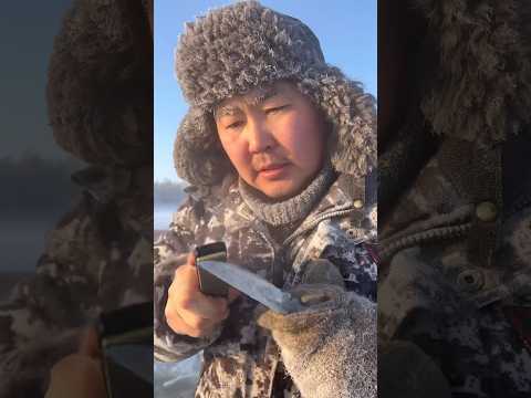 Winter fishing at -50 C❄️🐟 / Зимняя рыбалка при -50 С❄️🐟 #pandasakha #winter #fishing #yakutia