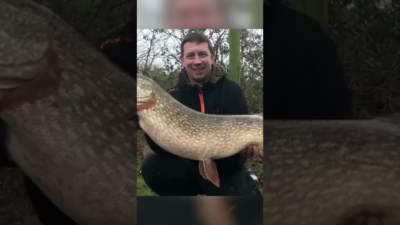 Самая большая щука весом 24 кг: невероятный улов на рыбалке 🎣