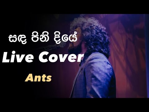 Sanda Pinidiye Live Cover by Ants Band Sri Lanka 🎶