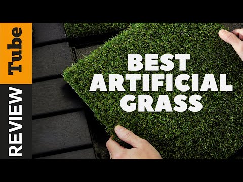 Artificial Grass [Buying Guide 2025]