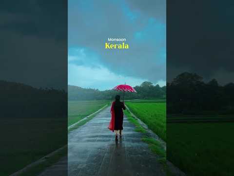 Monsoon Days in Kerala #keralatourism #kerala #monsoon