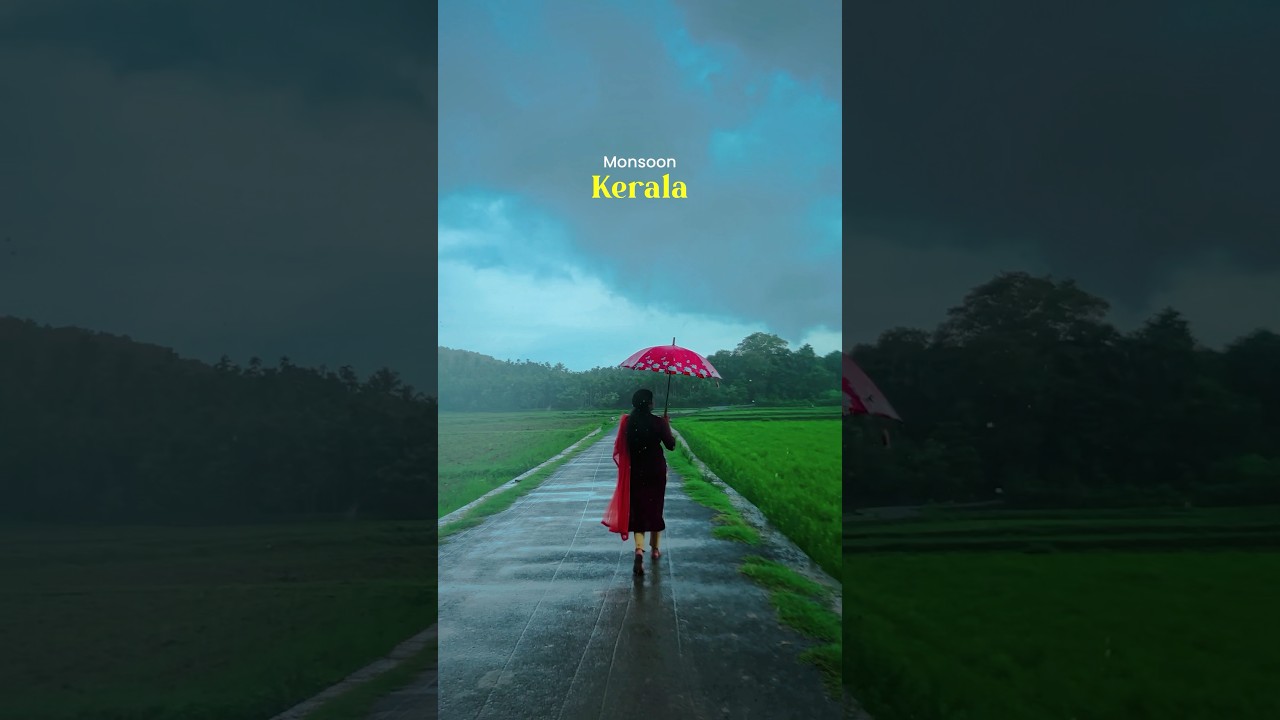 Experiencing the Monsoon Days in Kerala