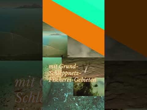 noch 10 Tage bis zur BTW25