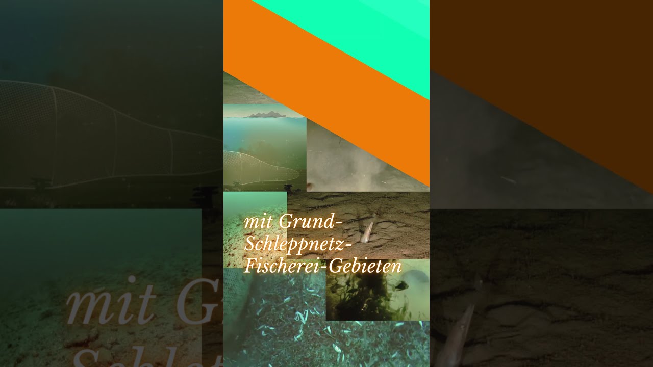 Nur noch 10 Tage bis zur BTW25 🌱