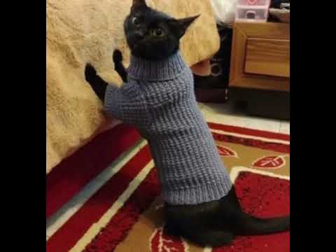 jaydes - lucifers favorite color