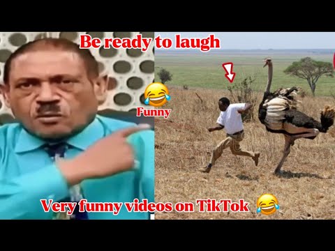 Extreme funny videos try not to laugh, part 93