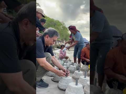 MENANAM KEHIDUPAN MELALUI TERUMBU KARANG  #akalsehat #rockygerung #lembataisland #lembata