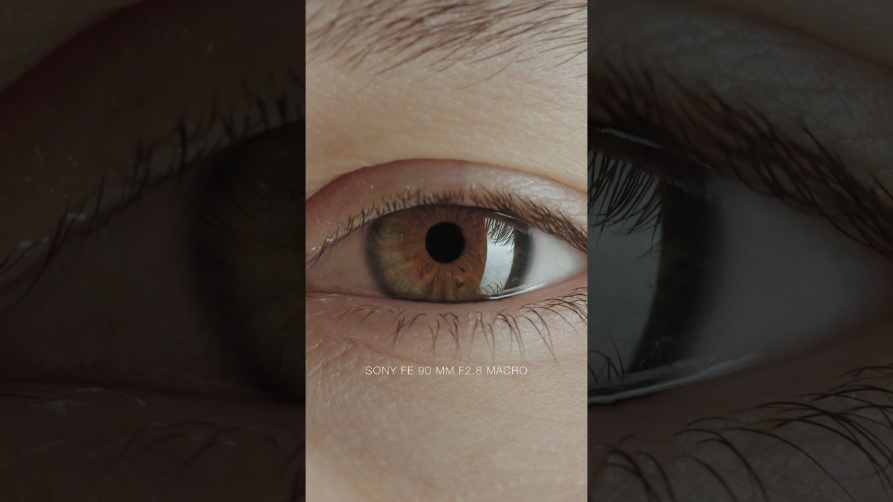 Sony 90mm F2.8 Macro: Sharp & Versatile 📸