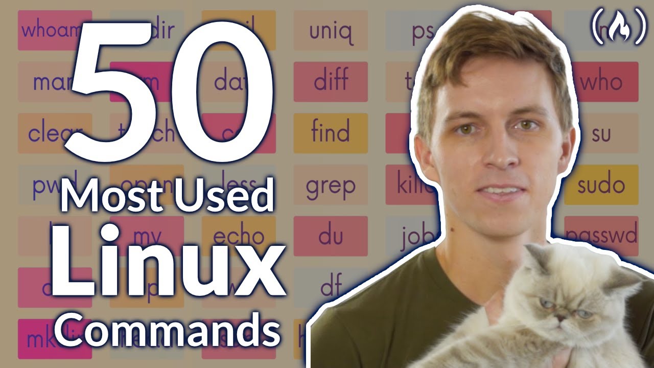 The 50 Master the 50 Most Essential Linux & Terminal Commands for Beginners 🚀