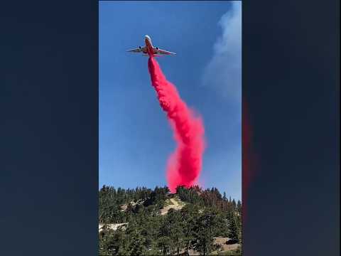 ✈️ L'avion bombardier a la rescousse : des images époustouflantes #shorts #aviation