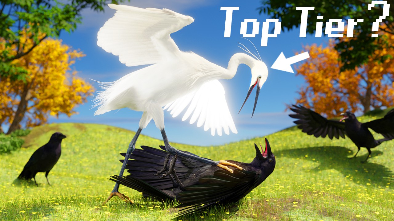 Bird Tier List & Exclusive Content π¦