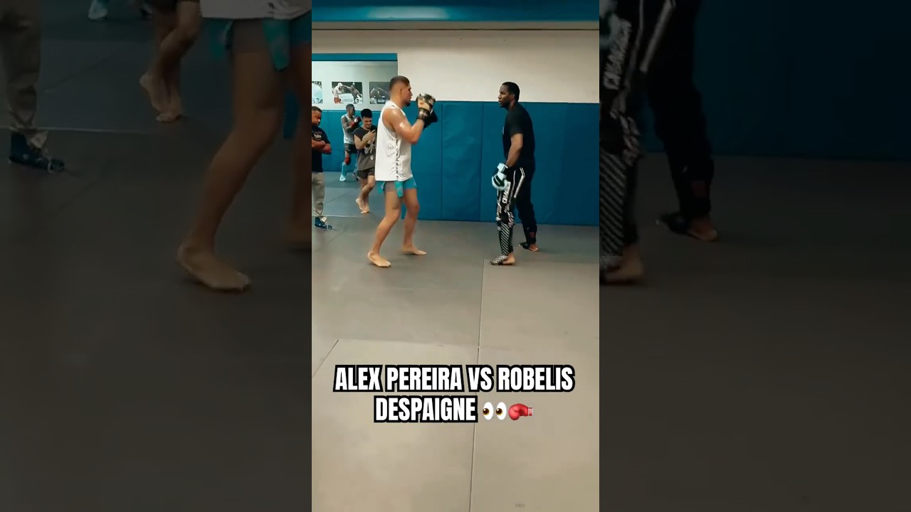Alex Pereira Battles 6'8'' Karate Champ Robelis Despaigne 🥊