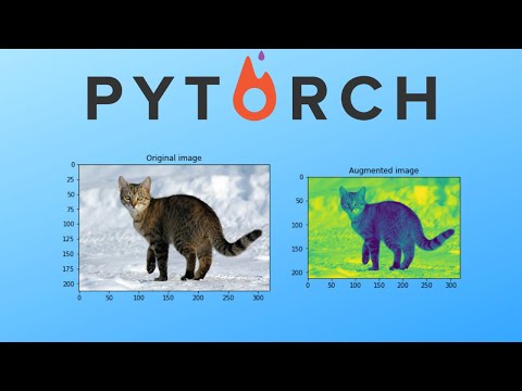 Pytorch Data Augmentation using Torchvision